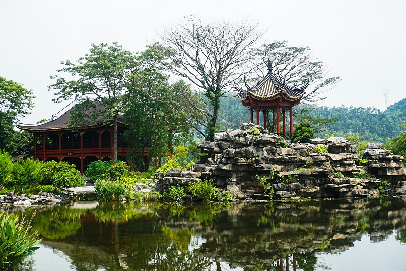 凯发天生赢家顺德美食之旅，用优质食品传递幸福，建设具匠心且快乐的团队 (2)